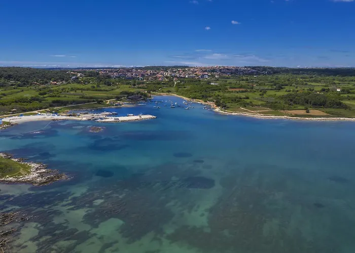 Two-bedroom In Vi Appartement *